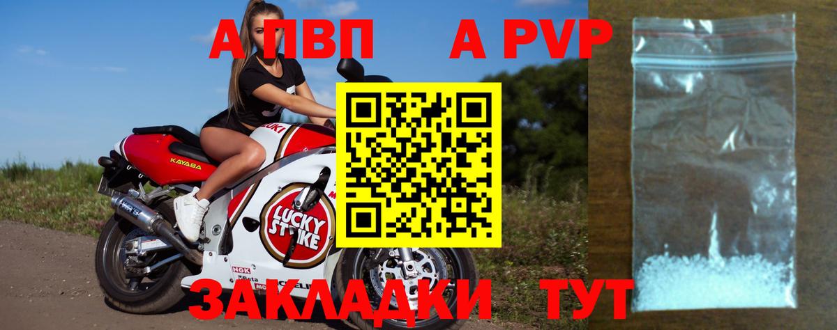 А ПВП СК Светлоград
